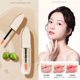 Lip Gloss Maidelin Warm Color Changing Essence Oil To Improve The Fine Lines Around Lips Moisturize And Mouth Red