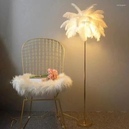 Floor Lamps Ostrich Feather Lamp Decoration Home Table For Living Room Standing Light EU Plug LED Lighting Fixture CX121B