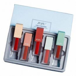 new Gift Fi 5pcs Makeup Lipgloss Set,Silky Charming Moisturiser Labial Glair,Lg-lasting Waterproof Well Lip Stain Colours 88Cw#