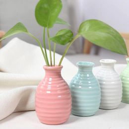 Vases Desktop Plant Hydroponic Vase Simple Style Tabletop Ceramic For Living Room Bedroom Ornaments Garden Samll Flowerpot