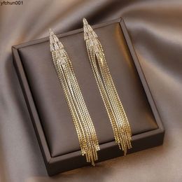 High End and Atmospheric Long Tassel Earrings Pure Silver Ear Needles for Women Light Luxury Niche Design New Trend in