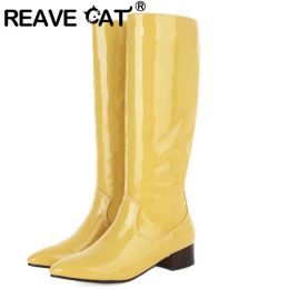 Boots REAVE CAT Knee High Boots Lady Pointed Toe Low Chunky Heels Slipon Big Size 3443 Solid Blue Yellow Green Winter Concise S2737