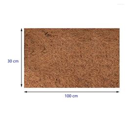 Carpets Practical Brand Durable None Liner Roll Door Mat 1pcs 30/40/50x100CM Coconut Fiber Palm Coir