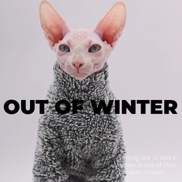 DUOMASUMI Super Cool Cat Outfits Autumn Winter Warm Wearing Hairless Cat Apparel Clothing Sphynx Cat Clothes 240322