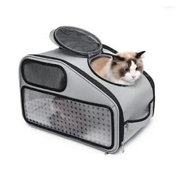 Cat Carriers Carrier Backpack For Cats Ventilated Transparent Windows Pet Tote Purse Small Dogs Outdoor Travel Bag Camping Hiking