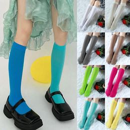 Women Socks Korean Velvet Stockings Soft Elastic Calf Winter Warm Knee High Sock Lolita Candy Colour Stocking Cosplay Party Accessories