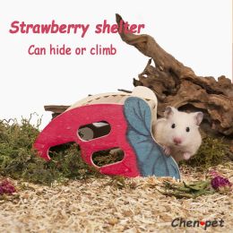 Supplies 10 Design Strawberry Small Pet Shelter House Climbing Toys Sleeping Bed Cages for Hamster Guinea Pig Chinchillas Rat Accessories