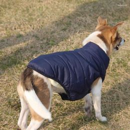 Dog Apparel 2 Layers Fleece Lined Warm Jacket For Puppy Winter Cold Weather Soft Windproof Small Coat