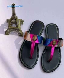 Slippers Sandals Kurt Geige Sandal Flat Shoes Sliders Eagle Head Rainbow Mule Summer Beach Flip Flop Platform Mainstream Shoes 356666