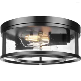 Ceiling Lights Rosient Flush Mount Light With Seeded Glass Black Modern Close To 12 Inch Lamp Metal Cage