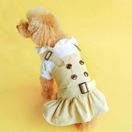 Dog Apparel Pet Clothes For Spring Summer Thin Trench Coat Princess Dress Two Styles Clothing With Button Puppy Lovers Costume