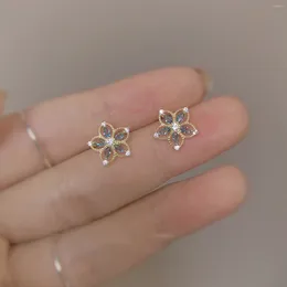 Stud Earrings Designer Original Blue Gold Rim Inlaid Orchid For Women Hollow Flowers Luxury Exquisite Charm Ladies Silver Jewellery