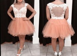 Cheap Nude Pink Short Homecoming Dresses Sweetheart Cap Sleeves Appliques Tulle White Illusion Back Short Party Dresses Prom Dress6306854