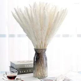 Decorative Flowers Small Reed Natural Preserved Dried Pampas Grass Home Wedding Bulrush Phragmites Decoration Accessories Shooting Props