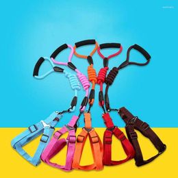 Dog Collars Traction Leash Chain Solid Colour Walk Collar Medium And Large Rope Pet Supplies
