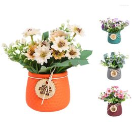 Decorative Flowers AT35 Nordic Cineraria Simulation Flower Potted Decoration Ornaments Table Fake Wedding