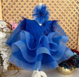 Girl Dresses Royal Blue Baby Dress Puffy Organza V Neck Princess Birthday Party Gown First Celebration Occasion