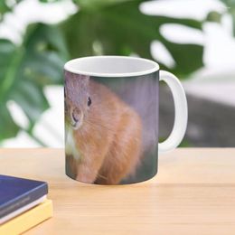 Mugs Red Squirrel Coffee Mug Pottery Cups Coffe Breakfast