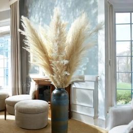 Pampas XXL Dry Pampas Grass 80-100cmHome DecorWedding Natural Dried Flowers Wall DecorArtificial Flowers for Christmas Decor 240315