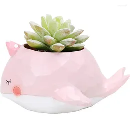 Decorative Figurines Design Cartoon Animal Shape Bonsai Pot Succulent Plant Pots For Courtyard/balcony Decoration Flowerpot