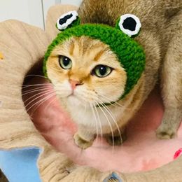 Dog Apparel Cat Supplies Headdress Ears Autumn And Winter Knitted Small Milk Cartoon Pet Wool Cute Hat