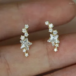 Stud Earrings Fancy Women's Star Silver Color/Gold Color Ear Piercing Daily Wearable Versatile Girls Fashion Jewelry
