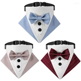 Dog Apparel 448B Elegant Cat Collar With Bow Tie Neck Kerchief Suit Necklace- Big Cute Girl