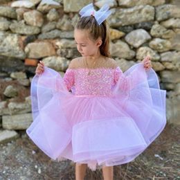 Girl Dresses Cute Baby Birthday Party Sheer O Neck Long Sleeves Sequined Puffy First Communion Gown Tulle Flower