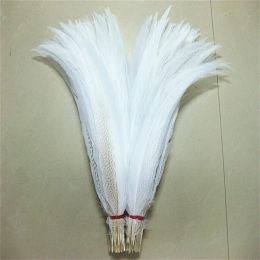 Accessories 1080cm 432inch Natural Sier Pheasant Tail Feathers White Pheasant Feathers for Crafts Wedding Costume Chicken Feathers Plume