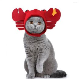 Dog Apparel Polyester Cat Hat Comfortable Ins Wind Headdress Pet Soft Halloween Red Crab