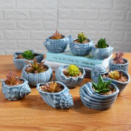 Planters Cute Small Fish Animals Shells Conch Sea Pots Succulent Plant Pots Ceramic Control Shape Thumb Pots Garden Ornaments