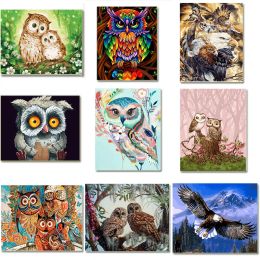 Number Owl Painting By Number On Canvas Acrylic Paint For Adults DIY Kits Picture Drawing Coloring By Number With Frame Home Decor Art