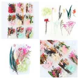 Decorative Flowers Eternal Life Dried Flower Material Package Festival Handmade Diy Picture Frame Stickers Leaf Baby