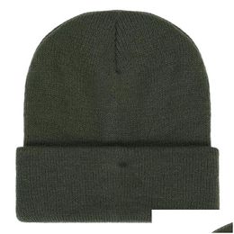 Beanie/Skull Caps Pure Color Wool Hats For Men Women Skl Autumn And Winter Knitted Plover Hat 17 Colors Wholesale Drop Delivery Fashio Dhmdv