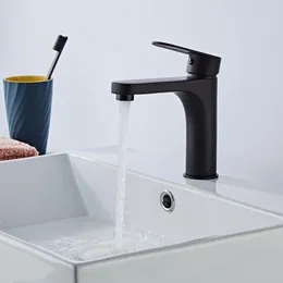 Bathroom Sink Faucets Single Handle Basin Cold And Mixer Tap Black Water Kitchen Faucet Painting