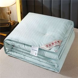 Formtheo Handmade Quilt Mulberry Silk Winter Spring and Autumn Bedspread Comforter Set 200*230 220*240
