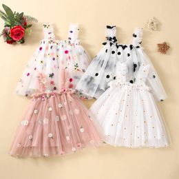 Baby Girl Clothes Multi Coloured Embroidered Floral Mesh Camisole Cute Dress Party Princess Fluffy Dresses 240325