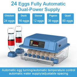 Accessories 24 Eggs Incubator With Drawer Type Mini Egg Incubator With Automatic Water Ionic Waterbed Replenishment And Temperature Control