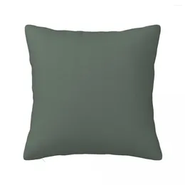 Pillow Smoke Green By Farrow And Ball Paint Throw Luxury Sofa Pillows Couch S