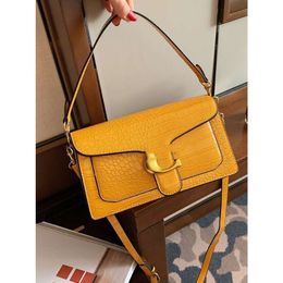 Store Wholesale Designer Bags Shoulder Bag High Quality Handbag for Women and 2024 New Trendy Korean Version Fashionable Crossbody Niche Versatile Single Underarm