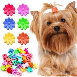 Accessories 100/200/500PCS Small Dog Cats Hairpin Mini Colourful Crown Hair Clips For Dogs Pets Fashion Headwear Hair Accessories For Dogs