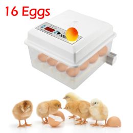 Accessories 16 Eggs Automatic Incubator Digital Control Hatchery Triocottage Incubator with Auto Turner for Chicken Duck Goose Pigeon Eggs