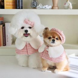 Dog Apparel Elegant Accessories Set 3 PCS Hat Hairpin Cloak Cute Bow Tie Luxury Design For Small Dogs Bichon Teddy