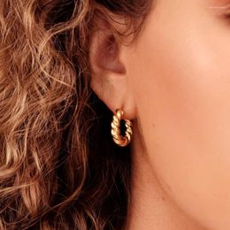 Hoop Earrings European Vintage Twist For Women 20mm Punk Stainless Steel Trendy Gold Color Metal Jewelry Pendientes