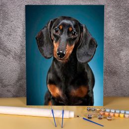Number Painting By Numbers Complete Kit Animal Dachshund Oil Paints 40*50 Boards By Numbers Home Decoration For Handicraft 2023 NEW