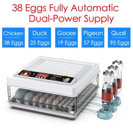 Accessories 24/38 Brooder Eggs Incubator Fully Automatic Temp Controller Chicken Goose Quail Auto Turner Equipment Hatchery Poultry Tools