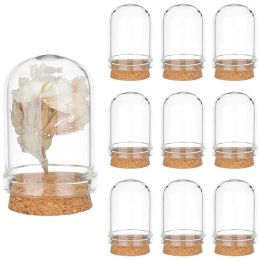 Jars 30PCS Cloche Bell Jar Glass Display Dome Cork Base Mini Glass Bottles Dome Decorative Jars for Flower Storage Home Party Decor
