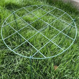 Supports Round Plant Support Stand Holder Brace Flower Supporter Cage Metal Garden Stake Strawberry Planting Frame Vine Pillar