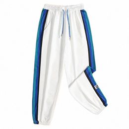 free Ship Sweatpants Men Summer Pants Man Spring Striped Sports Pants Casual Jogging Pants Male Street Harem Breathable 48pa#