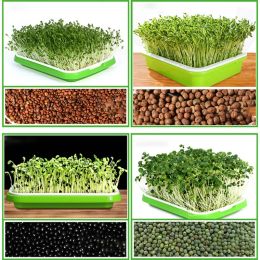 new 2024 Seed Sprouter Tray BPA Free PP Soil-Free Large Capacity Healthy Wheatgrass Grower with Cover Seedling Sprout Plate Hydroponic Seed